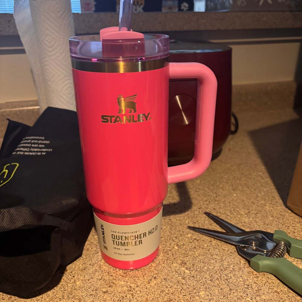 Stanley Pink Parade 30oz New